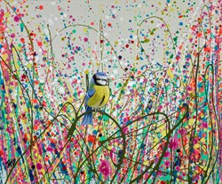 Blue Tit Focus II by Jennifer Hogwood - Original Painting on Box Canvas sized 12x10 inches. Available from Whitewall Galleries